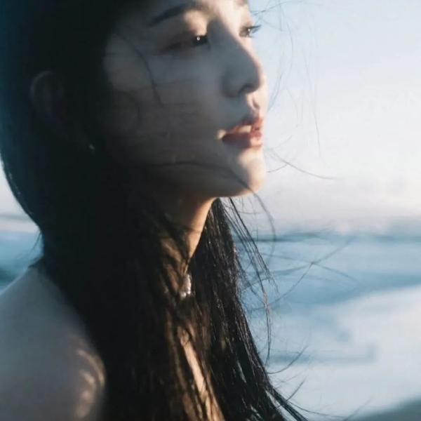 神秘的旅伴 在线观看